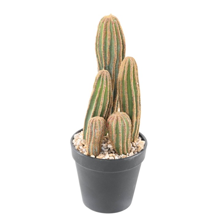 Künstlicher Fingerkaktus Opuntia 28cm – Täuschend echt und pflegeleicht