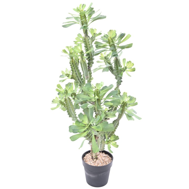 Künstliche Euphorbia 110 cm - Detailgetreue Kunstpflanze für Zuhause
