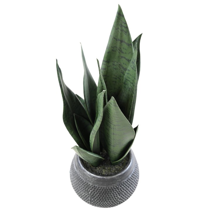 Künstliche Sansevieria Pflanze - 49cm Höhe - Pflegeleicht - Grün