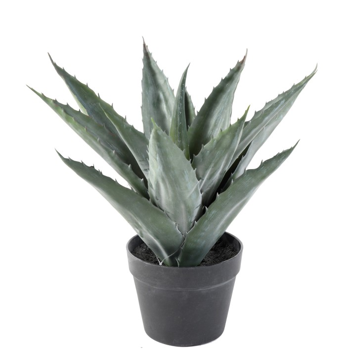 Künstliche Agave - Exotisches Flair, mühelose Schönheit