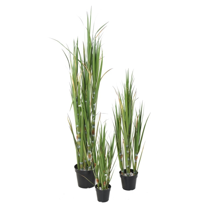 Kunst-Zuckerschilf 120cm - Pflegeleicht & Naturgetreu