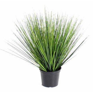 Kunstgras Deluxe 60cm - Pflegeleicht & Naturgetreu für Innen- und Aussenbereiche