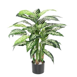 Künstliche Dieffenbachia 80cm - Wartungsfrei