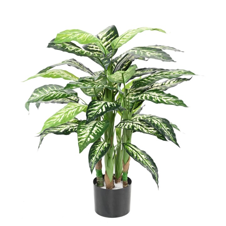 Künstliche Dieffenbachia 80cm - Wartungsfrei