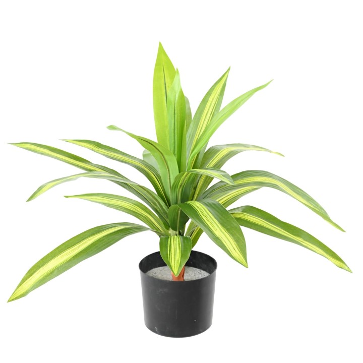 Dracaena Kunstpflanze - Anmutige Dekoration ohne Pflege