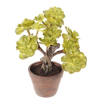 Kuenstlicher Sukkulent Gruen 35cm - Wartungsfrei