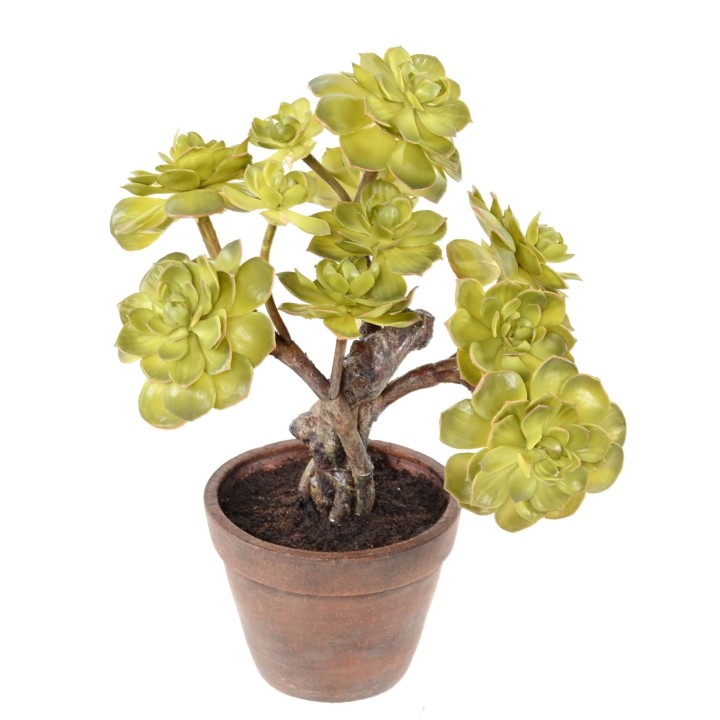 Kuenstlicher Sukkulent Gruen 35cm - Wartungsfrei