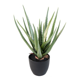 Künstliche Aloe Vera Pflanze - 48 cm Höhe - Grün und Pflegeleicht