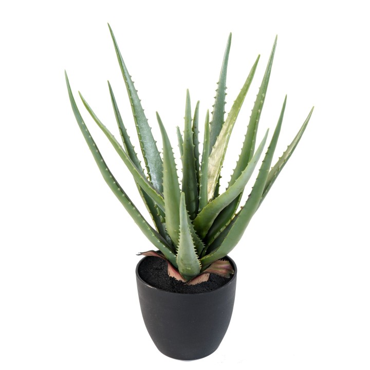 Künstliche Aloe Vera Pflanze - 48 cm Höhe - Grün und Pflegeleicht