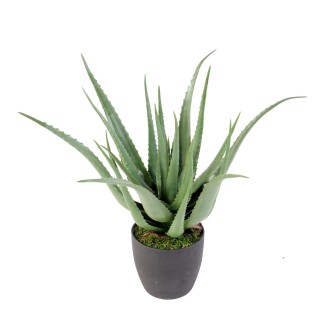 Künstliche Aloe Vera 70cm – Echt wirkend, pflegefrei