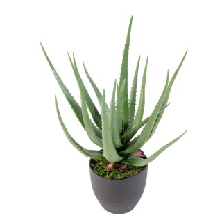 Lebensechte Aloe Vera Kunstpflanze, 60 cm - Mühelos schön