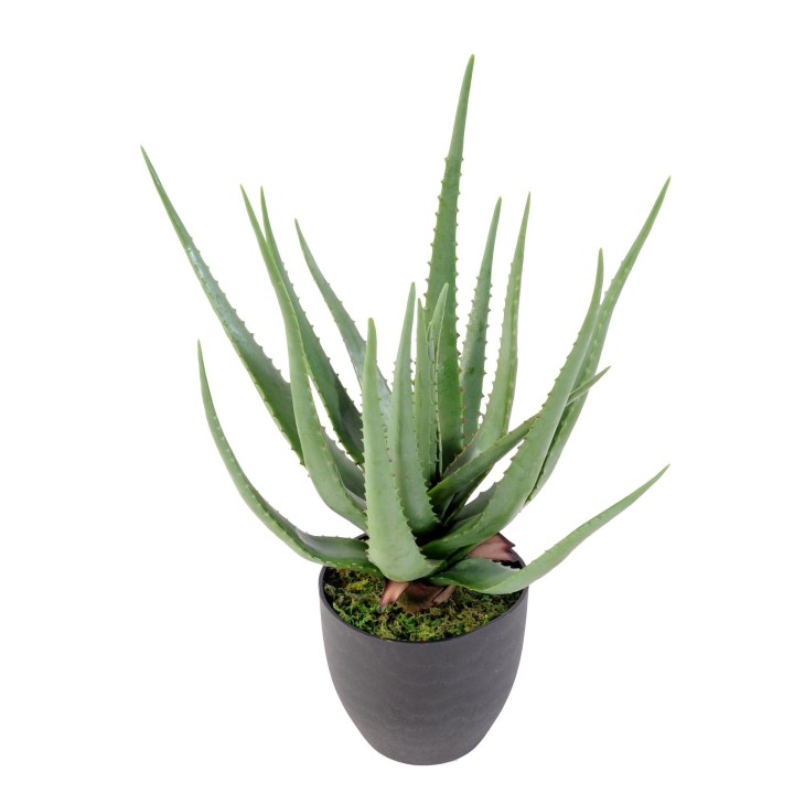 Lebensechte Aloe Vera Kunstpflanze, 60 cm - Mühelos schön