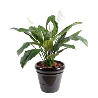 Kunst-Spathiphyllum 90 cm - Lebensechte Eleganz ohne Pflegeaufwand