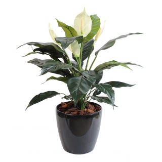 Kunst-Spathiphyllum - Lebensechte Eleganz ohne Pflegeaufwand