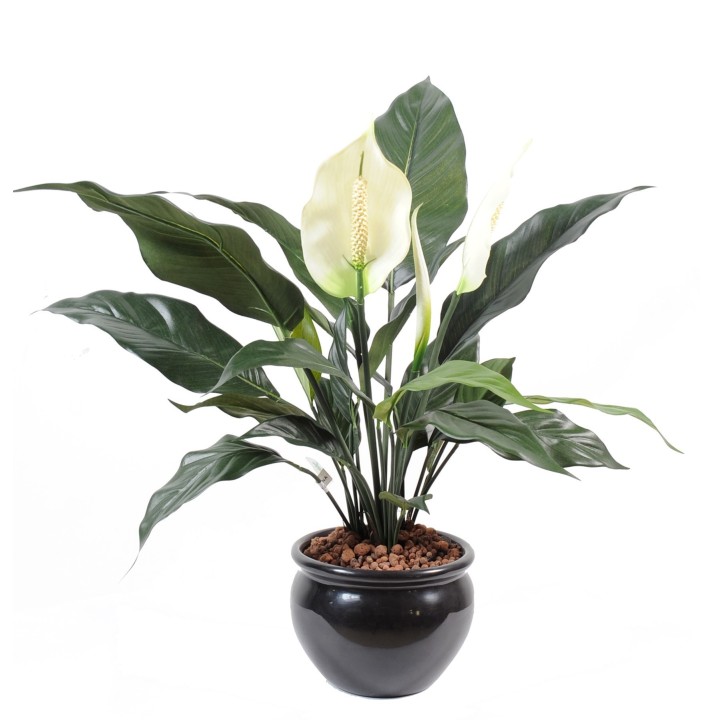 Künstlicher Spathiphyllum: Lebensechte Eleganz ohne Pflege