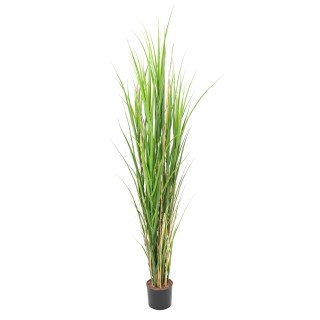 Kunstgras 165 cm - Pflegeleicht und immergrün