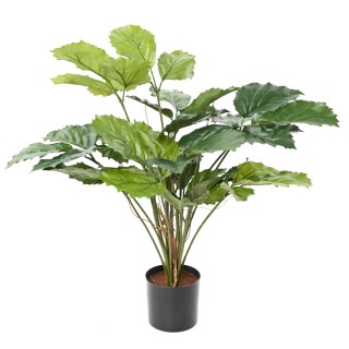 Künstlicher Tetrastigma - Grüner Blickfang ohne Pflegeaufwand