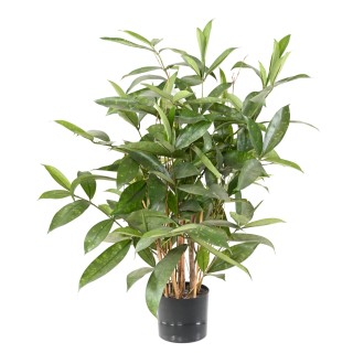 Künstliche Dracaena Surculosa 60 cm - Lebhaft Grün