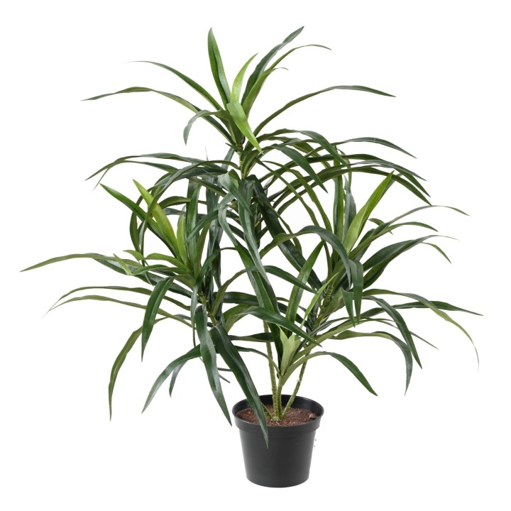 Dracaena Anita Kunstpflanze - Zeitlose Eleganz ohne Pflegeaufwand