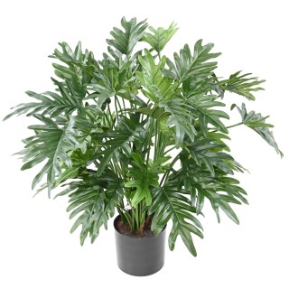 Künstlicher Philodendron Selloum, 75 cm, Grün