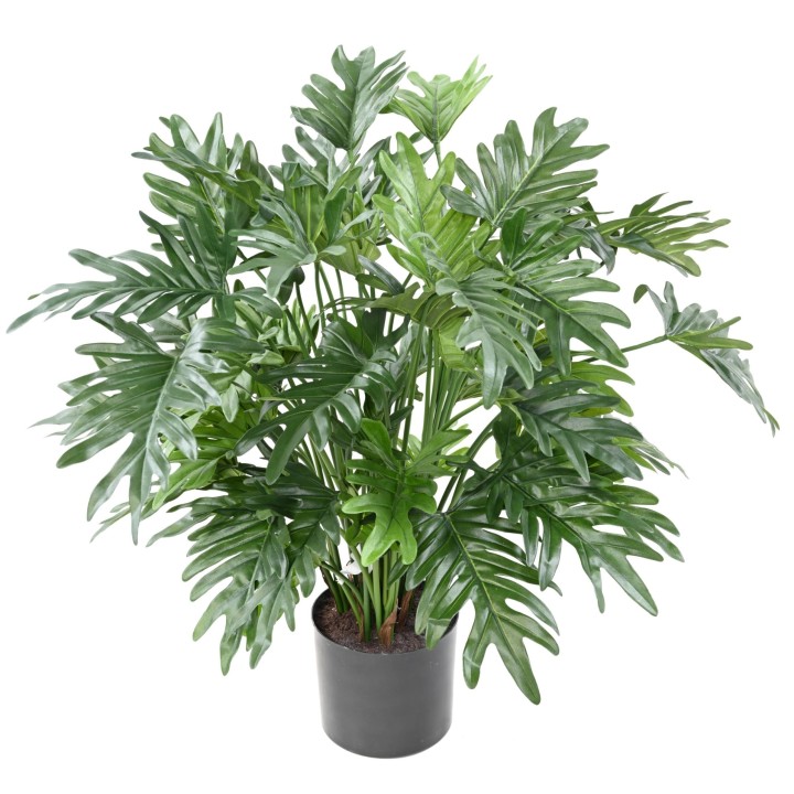 Künstlicher Philodendron Selloum, 75 cm, Grün