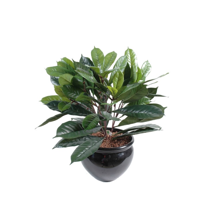 Künstlicher Cyathistipula Pflanze - 50cm Grün