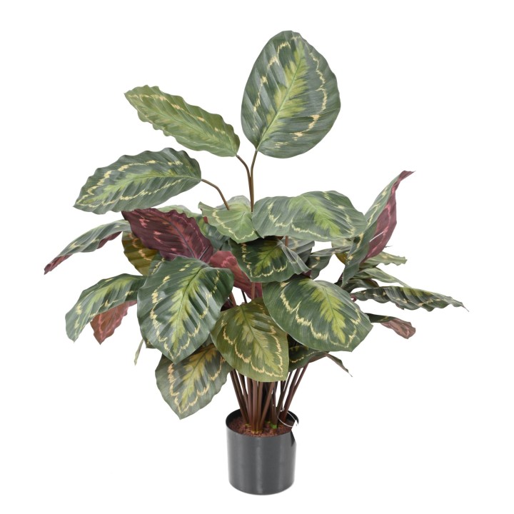 Dekorative Calathea Kunstpflanze - Lebendige Farbtupfer