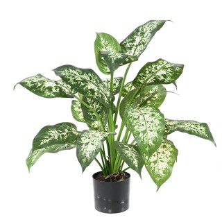 Dekorative Kunst-Dieffenbachie - 51 cm, Lebendig Grün