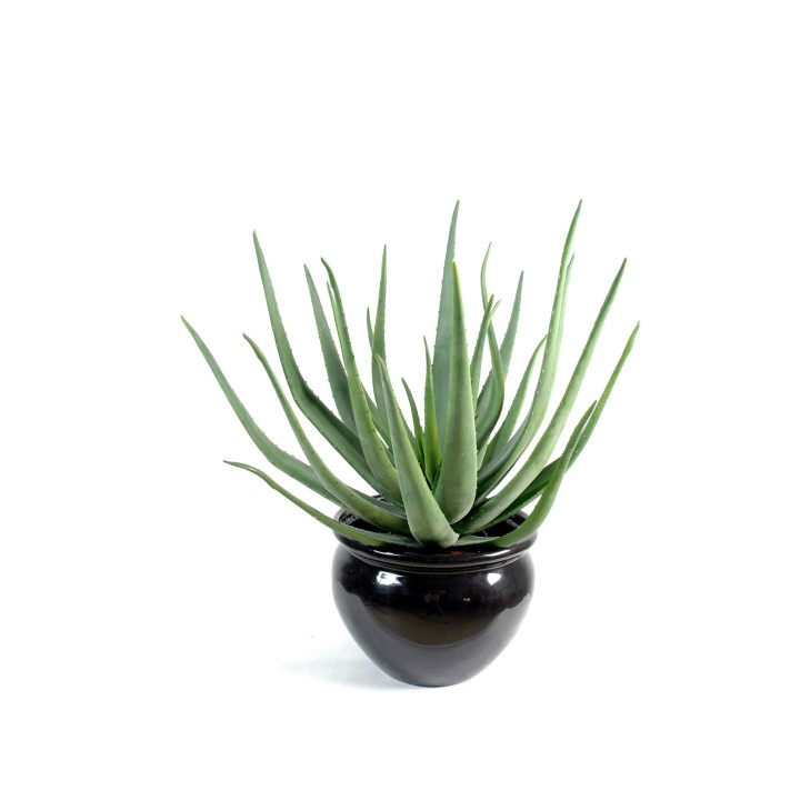Künstliche Aloe Vera 70cm - Naturgetreue Kunstpflanze