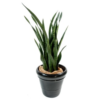 Künstliche Sansevieria Pflanze - 110 cm - Lebensecht und Wartungsfrei