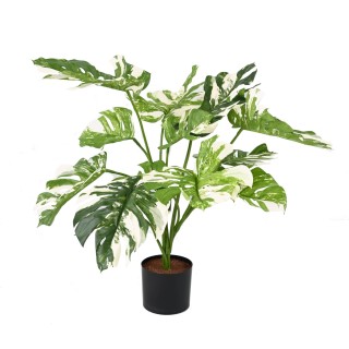 Realistischer Kunst-Philodendron - 75 cm - Immergrün und pflegefrei