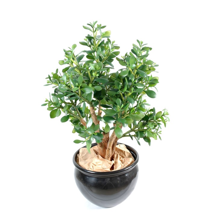 Künstliche Crassula - Lebensechter Geldbaum für Ihr stilvolles Heim