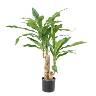 Künstliche Dracaena Kunstpflanze - Dekorative Eleganz für Ihr Zuhause