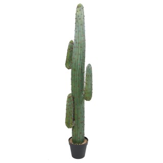 Realistischer Kunstkaktus Mexiko - 170 cm, Grün