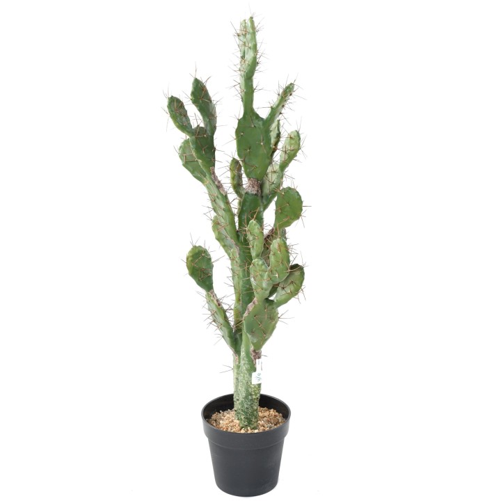 Realistischer Kunstkaktus 104cm - Zeitlose Eleganz ohne Pflegeaufwand
