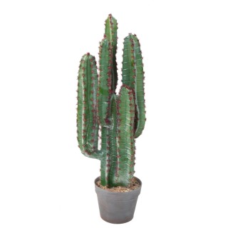 Kunstkaktus 77cm – Realistisches Grün, Absolut Pflegeleicht