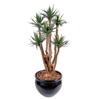 Künstliche Agave: Lebensechte Dekoration, absolut pflegeleicht