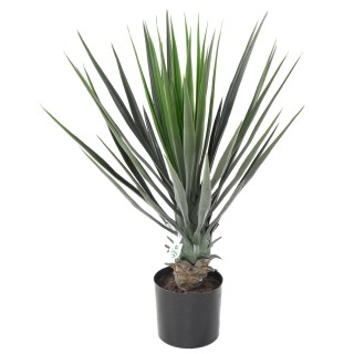 Künstliche Yucca Pflanze 60cm - Naturgetreu und Pflegefrei