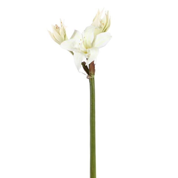 Künstliche Amaryllis Weiss - 60 cm Höhe - Pflegeleichte Dekoration