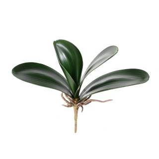 Phalaenopsis Kunst-Blattzweig 25cm Grün