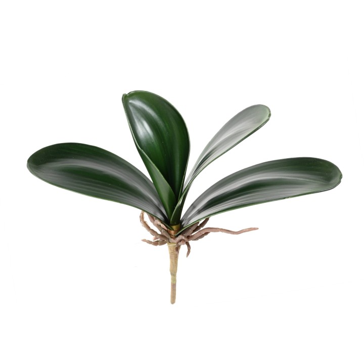 Phalaenopsis Kunst-Blattzweig 25cm Grün