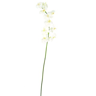 Exklusive Phalaenopsis Kunstpflanze Weiss 160 cm