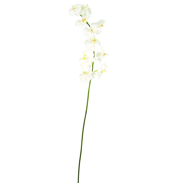 Exklusive Phalaenopsis Kunstpflanze Weiss 160 cm