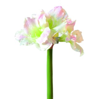 Künstliche Amaryllis Weiss-Rosa 70 cm