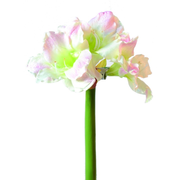 Künstliche Amaryllis Weiss-Rosa 70 cm