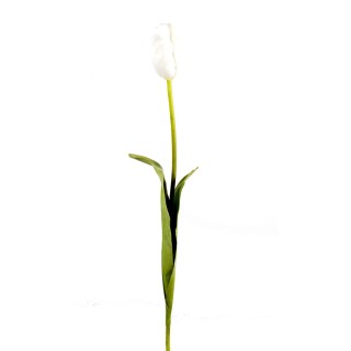 Kuenstliche Tulpe Weiss - 79cm Hoch - Pflegeleicht