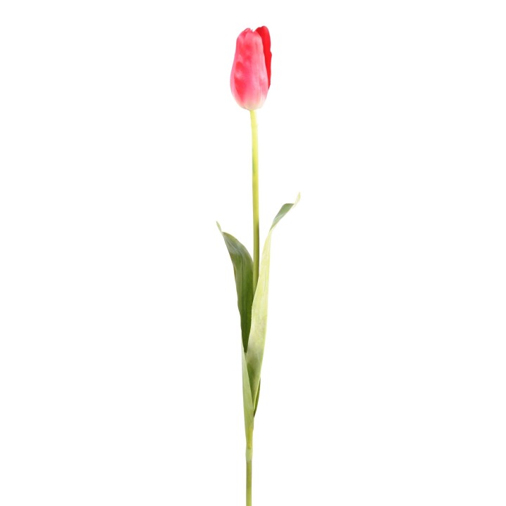 Künstliche Tulpe Pink 79cm - Täuschend echt und pflegeleicht