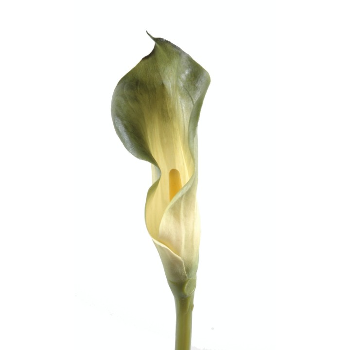 Künstliche Calla-Lilie Grün 90cm
