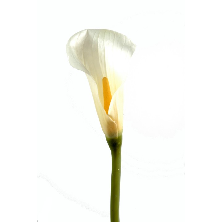 Elegante Kunst-Calla-Lilie, Weiss, 90cm