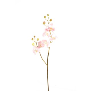 Künstliche Phalaenopsis Orchidee - Hellrosa - 70cm